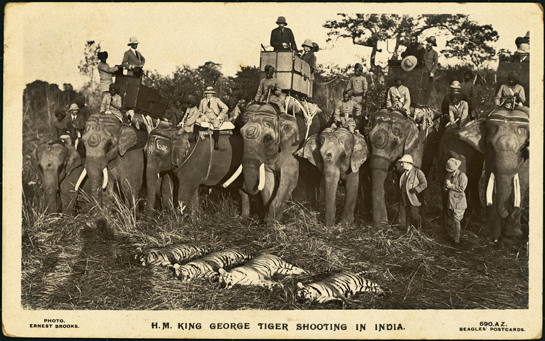 An old print of H.M. King George tiger shooting in India. Phillips' incredible collection drives home the fact that archival records serve as a valuable chronicle of human lives and values.
