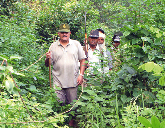LIFETIME SERVICE AWARD: One of India's leading elephant experts, Brijendra Singh has one prime purpose in life - to defend the Corbett Tiger Reserve. Seen here on patrol with forest guards, he has probably spent more time walking through its sal-dappled glades over the past four decades than he has in his own New Delhi home.