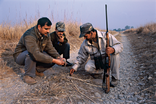 Inspecting tiger tracks. Rajiv Bhartari, Field Director, with his staff in the heart of the Corbett Tiger Reserve.