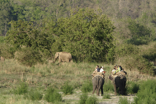 Rajiv Bhartari believes that ecotourism is destined to play a very vital role in wildlife conservation in the future. He was once the Conservator Ecotourism for Uttarakhand and helped set up the Centre for Ecotourism and Sustainable Livelihoods at Chunakhan near Corbett.