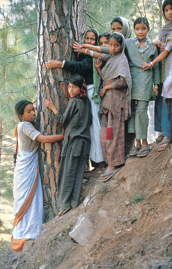 The symbolism of the women of the Chipko Andolan fired the imagination of the world. The symbolism of the women of the Chipko Andolan fired the imagination of the world.