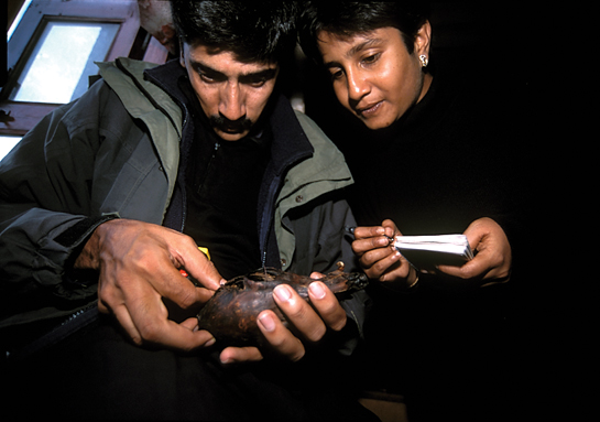 Charudutt Mishra and Aparajita Datta, members of Nature Conservation Foundation and explorers of India's last remote wildernesses.