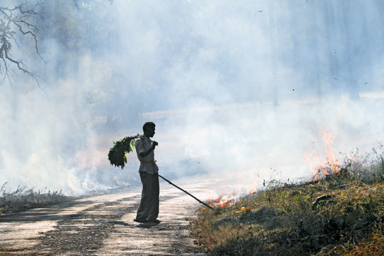 A lone van mazdoor monitors a &acirc;controlled burn'. This management technique is employed to remove flammable undergrowth that can spark and spread devastating forest fires.