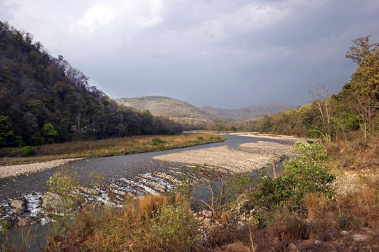 The Ramganga river flowing through the Corbett Tiger Reserve, Uttarakhand.