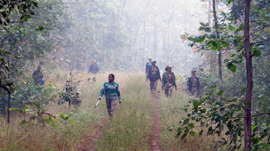 Women of the Special Tiger Protection Force on duty on a misty morning in the Pench Tiger Reserve, Maharashtra.