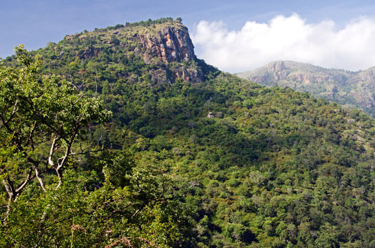 Spread across the three states of Tamil Nadu, Karnataka and Kerala in south India, the Nilgiris or blue mountains constitute one of the planet's most vital biodiversity hotspots.