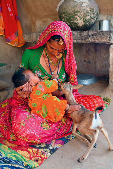 Protecting nature is of foremost importance for the Bishnoi community of Rajasthan with their women going to the extent of suckling orphaned chinkara fawns. Protecting nature is of foremost importance for the Bishnoi community of Rajasthan with their women going to the extent of suckling orphaned chinkara fawns.