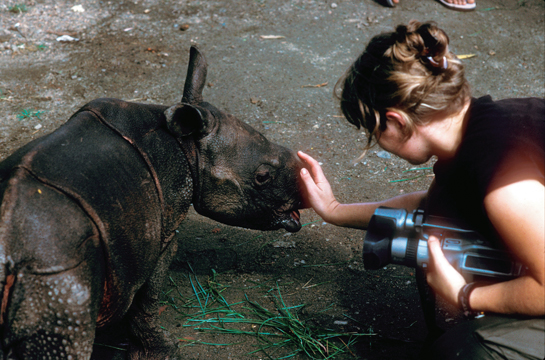 Banks is seen here with a rhino baby that was rescued following the 1998 floods in the Kaziranga National Park.