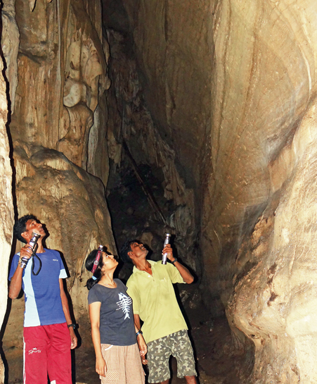 Ardous field conditions haven't deterred women biologists such as Akshaya Mane from following their true passion. Ardous field conditions haven't deterred women biologists such as Akshaya Mane from following their true passion.