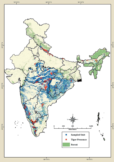 Sampling locations (blue dots) across 18 tiger range states, the red dots signify detection of tiger signs at that sampling location. The map depicts the distribution of tigers in India at a very high spatial resolution of 15 sq. km. forest patches. Sampling locations (blue dots) across 18 tiger range states, the red dots signify detection of tiger signs at that sampling location. The map depicts the distribution of tigers in India at a very high spatial resolution of 15 sq. km. forest patches.