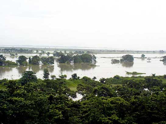 The Brahmaputra floods are vital to the ecological health of Kaziranga but National Highway 37, roads, quarries and construction have turned the life-giving flood into a death trap as animals are unable to reach high ground in Karbi Anglong.