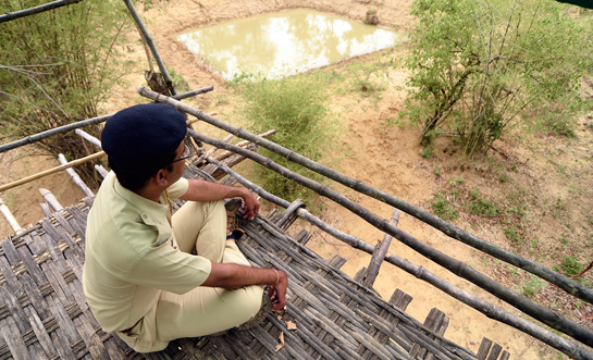 H. Bhaskar Bhatt, an officer from the Nimbada Range, monitors a waterhole from the Ghanta chowki.