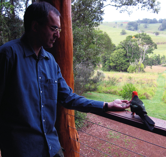 Pavan Sukhdev in his tree house in Australia with a visitor - an Australian King Parrot.