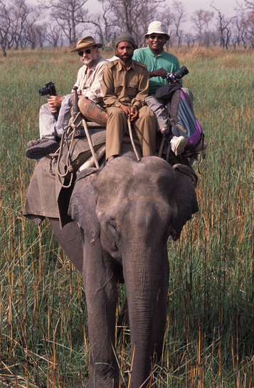 âI wish we had been able to convince powerful people including politicians to be more strongly supportive of wildlife conservation. âI wish we had been able to convince powerful people including politicians to be more strongly supportive of wildlife conservation.