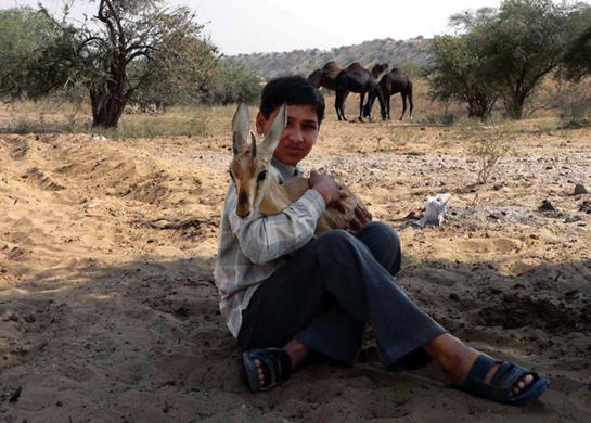 Bajrang Bishnoi's involvement does not stop at anti-poaching operations. On a daily basis, he loves and cares for wild creatures and often rescues injured animals.