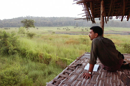 WIND UNDER THE WINGS AWARD: Vijay Pinjarkar's hard-hitting reports have forced the apathetic government to take action on many environmental issues from prohibiting the expansion of a highway through a National Park to fueling an investigation into wrongfully-acquired mining permits. 