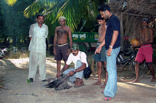 Hakabhai Makawana (centre) is a part of the vulture monitoring team at the Chhapriyali carcass dumping site where his observations are helping to monitor the beleaguered population. An effective ambassador for vultures, he has helped convince other padavalas to protect their nests.