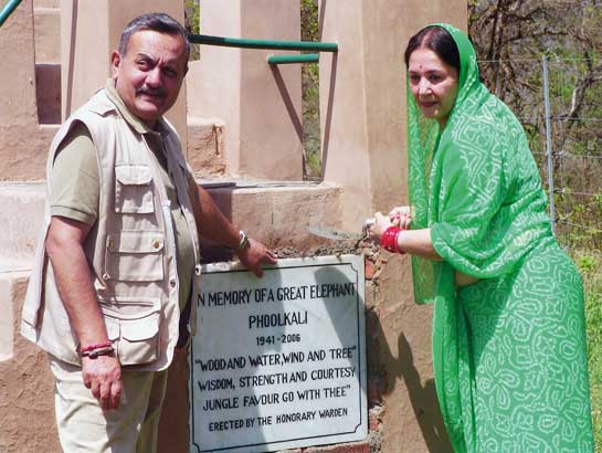 &acirc;Brijendra and his wife, Dawn, help cement a memorial plaque installed by the Corbett Park authorities in memory of one of the department's most loved riding elephants, Phoolkali. Both husband and wife have worked ceaselessly over decades not only to protect Corbett's wildlife, but also its staff, including mahouts.