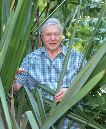 From the freezing poles to the undergrowth in our backyards, Sir David Frederick Attenborough, pioneer nature filmmaker, has written and presented eight film series, covering virtually every aspect of life on the Earth.