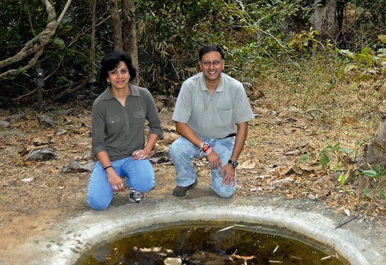 Poonam and Harshawardhan Dhanwatey, are discovering to their delight that nature and its wards approved of their initiative to rewild a barren parcel of land near Tadoba's Ghosri village.