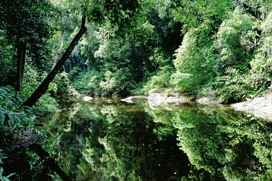 The ecosystem services of forests are undervalued, often not valued at all, by economists. According to Sukhdev, the true worth of forests such as Periyarcould exceed Rs. 20 lakhs per hectare (average Rs. 8 lakhs).