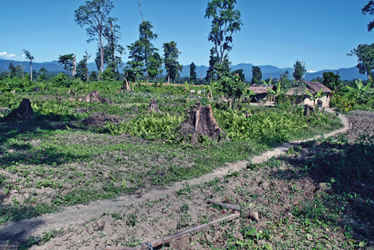 If this valuation were added to the cost of megaprojects that take such a high toll on natural ecosystems today, at least some of the deforestation (exemplified by this image taken just outside the Nameri Tiger Reserve,) which accounts for over 25 per cent of all our greenhouse gases, might be arrested.