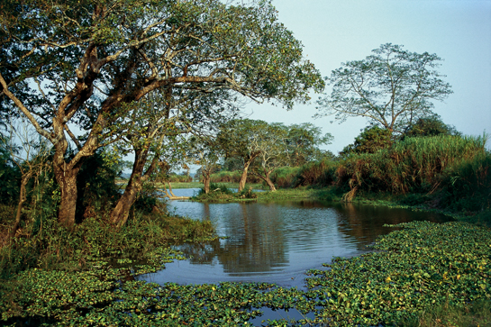 Barthakur's concept of a Naturenomics&acirc;&cent;-based economy seeks to secure four key natural assets - food, water, energy and environment. This means moving away from policies that involve &acirc;mining' natural resources so that they are available for the use of future generations as well.