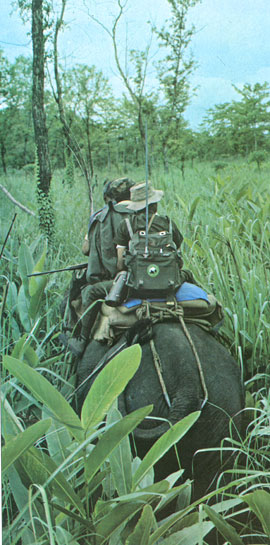 An anti-poaching squad. Poaching incidents have been considerably reduced as a result of timely assistance received from the WWF who helped obtain wireless equipment, transportation and guns. An anti-poaching squad. Poaching incidents have been considerably reduced as a result of timely assistance received from the WWF who helped obtain wireless equipment, transportation and guns.