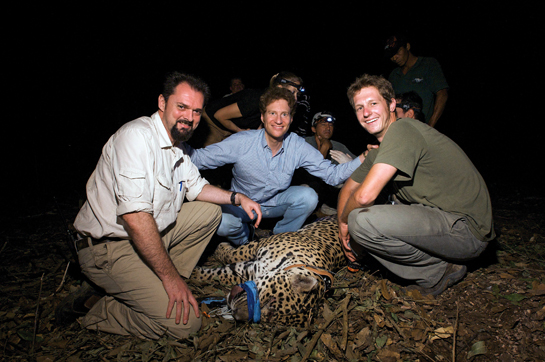 Kaplan regularly travels to Brazil where he has bought and donated thousands of acres of critical jaguar habitat to Panthera to conserve.