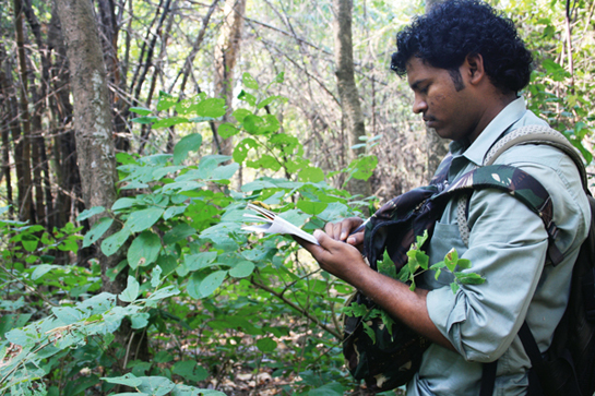 YOUNG NATURALIST AWARD: Budding botanist, Santosh Lalji Yadav is well read beyond his years and has documented the threatened flora of key forests in Maharashtra and, working with Dr. Marselin Almeida, has even helped re-classify two plant species.