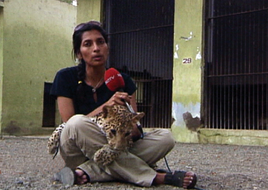 Swati Thyagarajan's Born Wild programme on NDTV speaks wildlife truths week after week and brings unbiased stories, both positive and negative, to the notice of the public. 