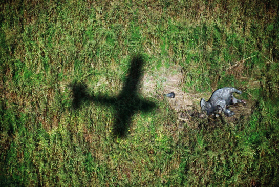 Wild Foundation has helped supply valuable equipment for anti-poaching and other field work, including this aircraft in Zakouma, Chad (North Africa).