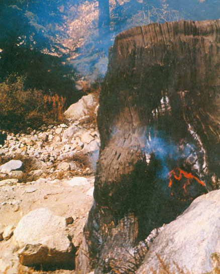 As a consequence, even their simple demands for charcoal and fuel wood have begun to contribute to the degradation of Himalayan slopes. It is a tragedy that the people who hold the destiny of the great Himalaya in their hands are not from the mountains. They do not understand the spirit, nor the strength of this land. Yet they have the power to destroy the slender balance on which hinges the peace and prosperity of its simple people.