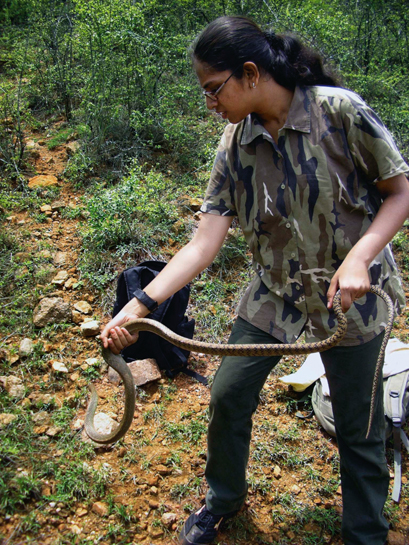 Keerthikrutha S., who also emerged from the Kids for Tigers outreach, is passionate about herps. Seen handling a rat snake in the Western Ghats, she wants to use technology and science for species protection in the wild.