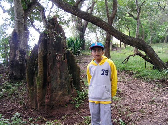 YOUNG NATURALIST AWARD: Sooraj Bishnoi has conducted scores of slide presentations titled 'The Treasure' for young children who he advises: &acirc;Don't wait till you grow up. The tiger needs you now.