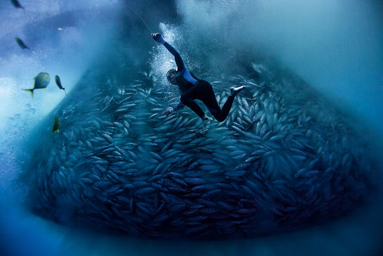 Diver Joel Gonzaga of the Philippine fishing boat Vergene works in and around a skipjack tuna fishing net using a single plastic air hose connected to a rusty onboard compressor. Known in the Philippines as &acirc;Pa-aling' diving, it is a type of purse-seine net strategy, which has sadly been introduced in Maharashtra. This unsustainable method scoops up large shoals of fish, impacting fish populations all along the Konkan coast.