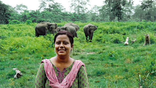 A self-portrait at Bura-Buri camp, Manas, with wild elephants in the background.