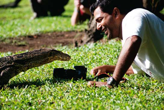 Gerry Martin believes in changing people's perceptions of wildlife. He is seen here photographing water monitors in Thailand.