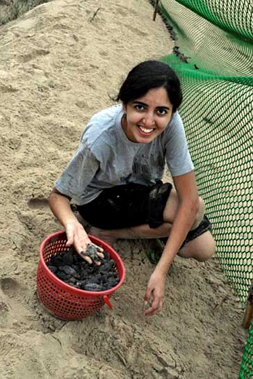 Watching the hatching of olive Ridley turtles was on Cara's top &acirc;Things To Do Before I Die' list and after years of dreaming, she made it to the Odisha (Rushikulya) coast. She encourages everyone to go and witness the mass nesting (arribada) and hatching, not as ignorant tourists, but informed volunteers.