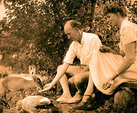 S. Dillon Ripley, together with his wife, Mary Livingston Ripley, founded what is today known as the Livingston Ripley Waterfowl Conservancy.  Seen here enjoying a quiet moment in the wild, the duo were leaders in the development of an international conservation movement.