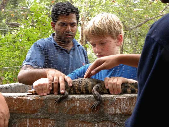 Croc camps such as these offer kids a unique experience to overcome their fear of reptiles.