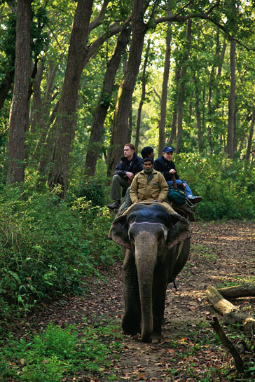 Seen here on an elephant in Corbett with Smith. Seen here on an elephant in Corbett with Smith.