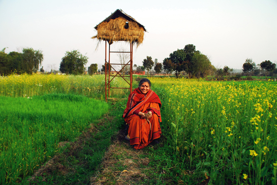 Through her organisation &acirc;Research for Science, Technology and Ecology, (RFSTE)', Dr. Vandana Shiva launched a network of seed keepers and organic producers across 16 states of the country and now more than 500,000 farmers are being trained in seed and food sovereignty and sustainable agriculture. Dr. Shiva's focus is towards nonviolent farming, which protects the Earth, its biodiversity and small farmers.