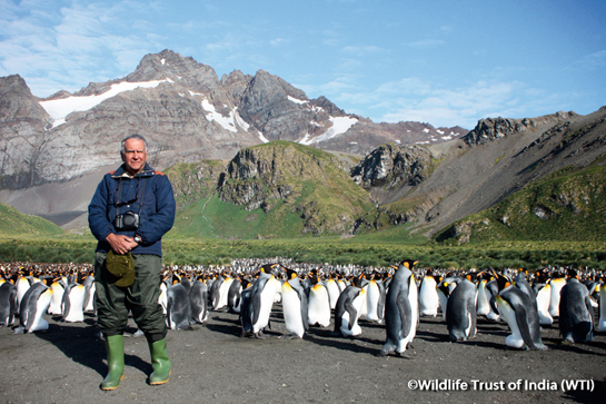 Ever the inveterate traveler, Dr. Ranjitsinh has found his way to the furthest reaches of the earth to relish nature at its rawest. In summer, on the freezing continent of Antarctica, he stands in front of a rookery of King Penguins.