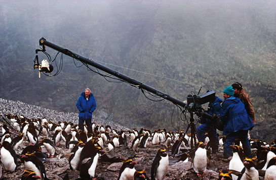 Serving as a catalyst for the best wildlife filmmakers in the world, Wildscreen now has associates ranging from the BBC and Animal Planet to Natural History Museums. Seen here is the legendary Sir David Attenborough, during the filming of the Panda Award-winning film &acirc;Life in the Freezer'.