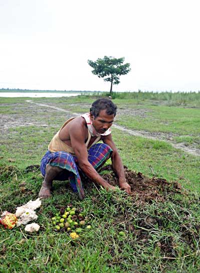 Mulai Kathoni today is a successful green haven for rhinos, elephants, tigers, and the myriad species that support these flagship animals. Barely pausing to acknowledge the success of Mulai Kathoni, Payeng has already started a new mission to green Mekahi Island. Mulai Kathoni today is a successful green haven for rhinos, elephants, tigers, and the myriad species that support these flagship animals. Barely pausing to acknowledge the success of Mulai Kathoni, Payeng has already started a new mission to green Mekahi Island.