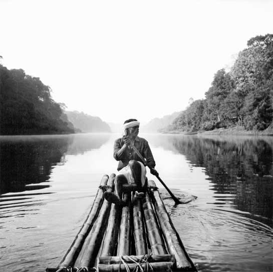 A boatman ferries birdwatchers and other tourists across an arm of the Periyar lake near the tourist boat landing jetty.  