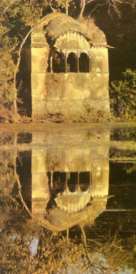 One of the many crumbling structures from a forgotten past, reflected in the placid waters of the Rajbagh lake. These old ruins provide ready-made hides from which to view animals. One of the many crumbling structures from a forgotten past, reflected in the placid waters of the Rajbagh lake. These old ruins provide ready-made hides from which to view animals.