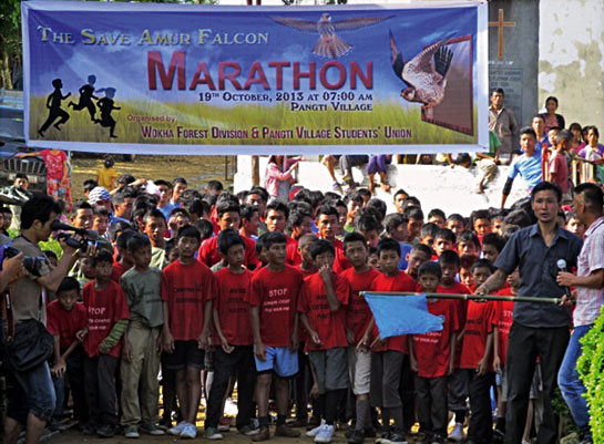 A people's movement to save the Amur Falcon spread like wildfire through Nagaland in 2013, encouraging villagers to protect the birds as part of their heritage. Consequently, the killing dropped from well over a lakh falcons in 2012 to almost zero in 2013.