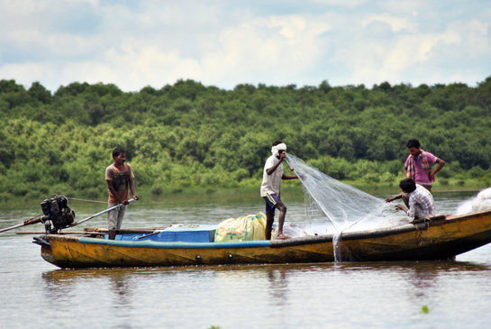 Hydroelectric projects on the Godavari river threaten to damage India's second largest swatch of mangroves and will also affect the fishing community that depend upon them.